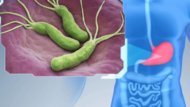 wellhealthorganic.com : key signs of gastroenteritis