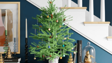 Clipart:_8kjmf_Xvxw= Small Christmas Tree