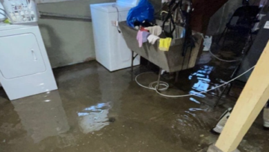 Effective Strategies for Dealing with Water Damage in Your Home