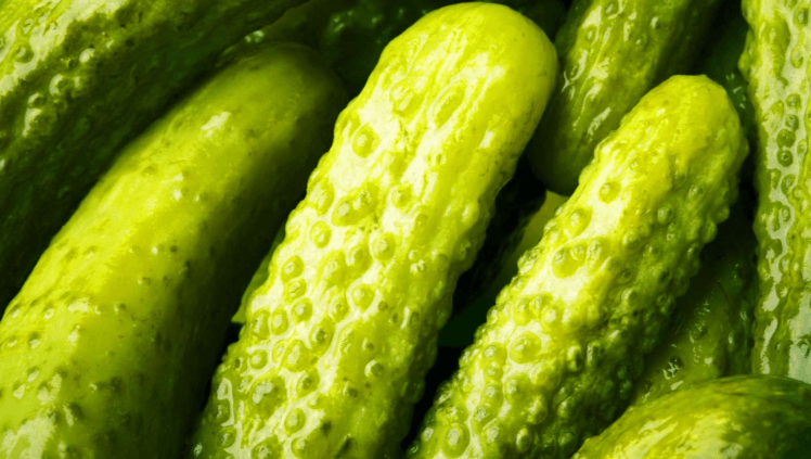 Transparent:9wcqrb2h6pm= Pickles