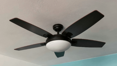 Ceiling Fans