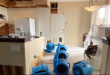 How Flood Cleanup Services Work and Why You Need Them