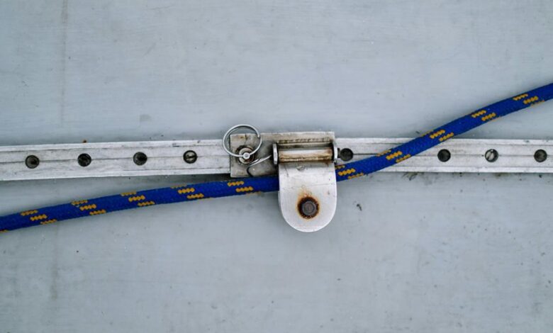 business support contact numbers