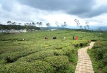 emerging opportunities exploration initiative