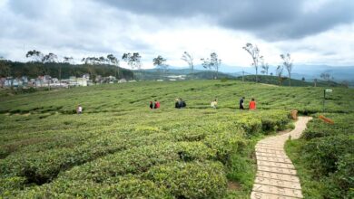 emerging opportunities exploration initiative