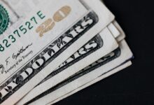 evaluate xupikobzo987 model value