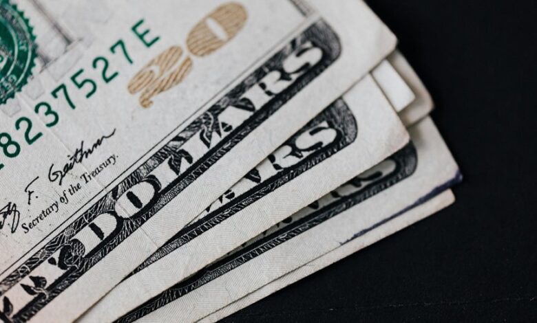 evaluate xupikobzo987 model value