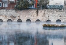 krylovalster s unique characteristics highlighted