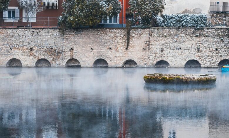 krylovalster s unique characteristics highlighted