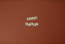 verify calls for fraud