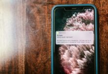 verify calls for fraud