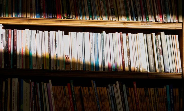 vizahbitarmun important facts