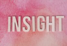 xevotellos model brand design insights