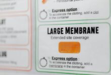 zeppelinargreve detailed information