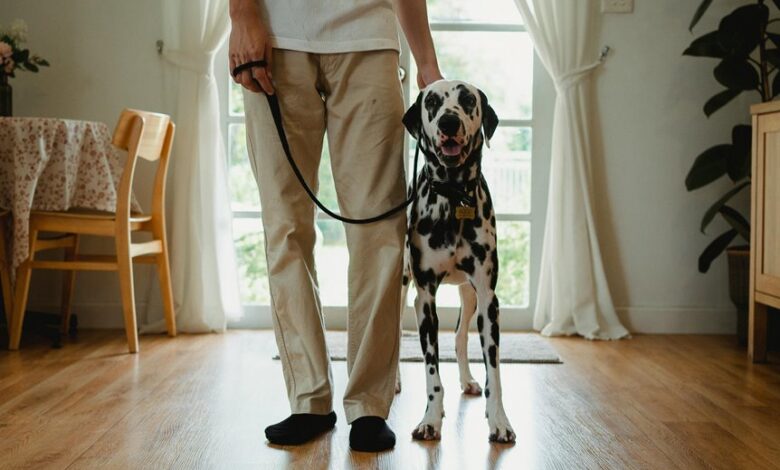 caller complaints and alerts