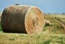 fusion node expansion details