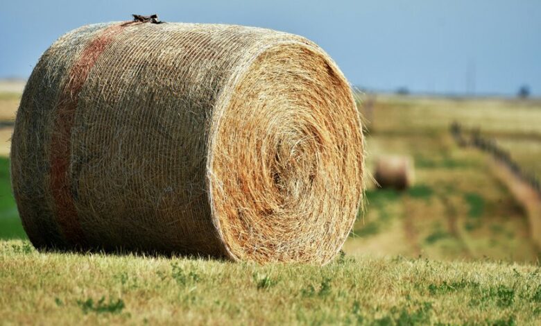 fusion node expansion details