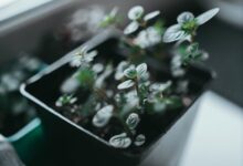 innovative approaches to solutions