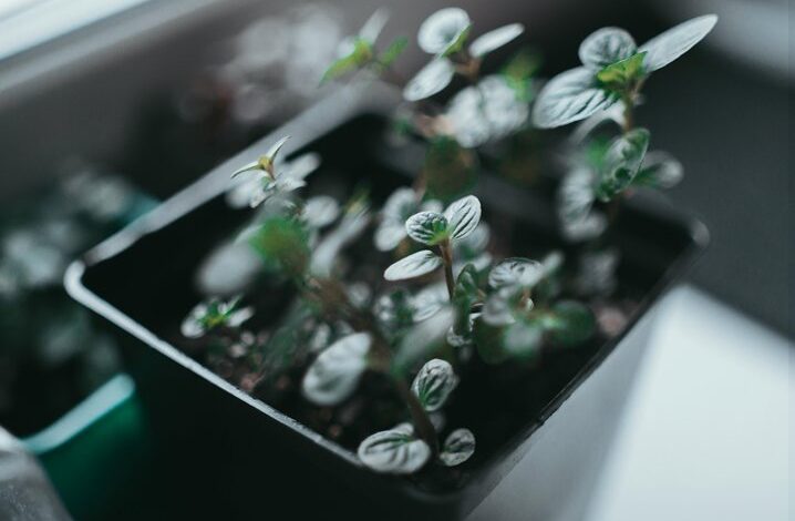 innovative approaches to solutions