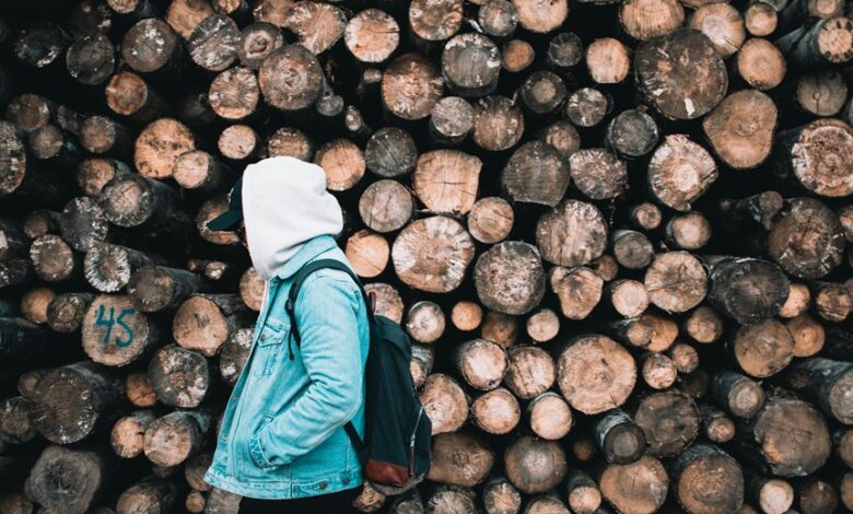 surukuku online interaction trends