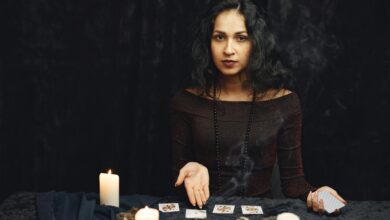 updated insights on contact