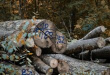 call logs accuracy confirmation list