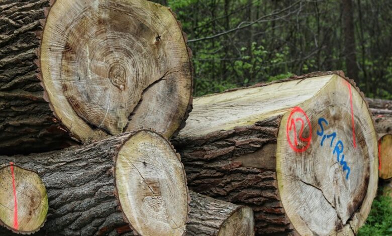 confirm call log numbers accuracy