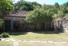 Understanding the Long-Term Value of Modern Pergolas in Outdoor Living Design