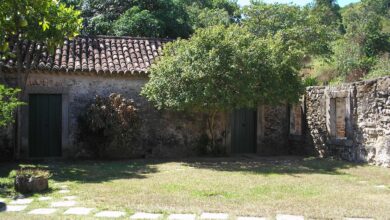 Understanding the Long-Term Value of Modern Pergolas in Outdoor Living Design