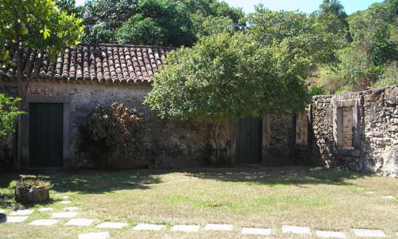 Understanding the Long-Term Value of Modern Pergolas in Outdoor Living Design