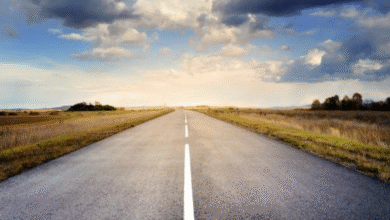 Building Durable Roads: The Role of Asphalt Maintenance in Modern Infrastructure