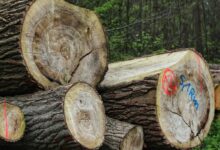 incoming call data logs list