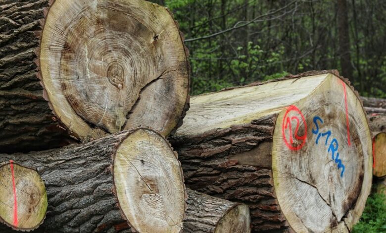 incoming call data logs list