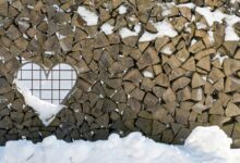 advanced system authentication log grid