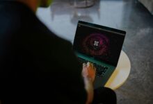 advanced user activity coordination identifiers