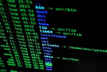corporate data verification sequence identifiers