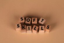 dimrekemesgen skills summary