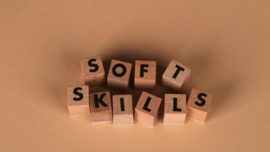 dimrekemesgen skills summary