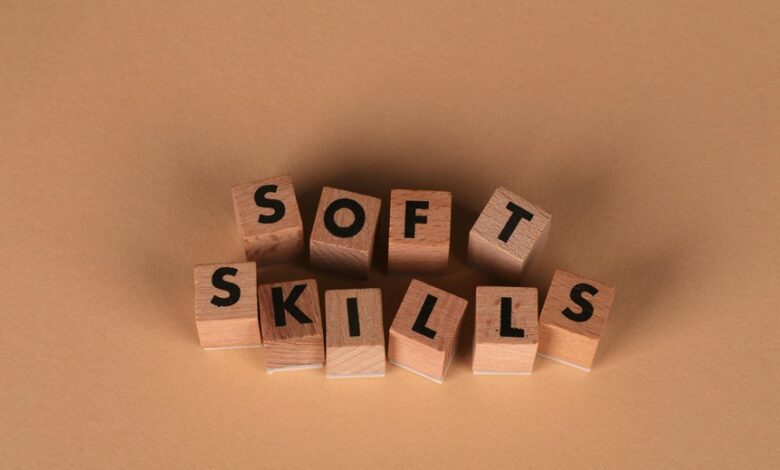dimrekemesgen skills summary