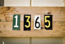 global identity verification registry numbers