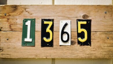 global identity verification registry numbers
