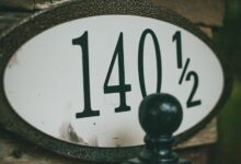network activity record identifiers listed