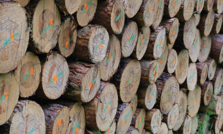 unified system integrity mapping log identifiers