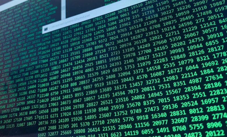 validate caller data integrity phone numbers and large amounts included