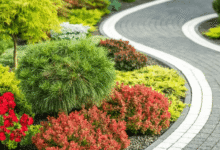 Seattle Landscaping: How to Transform Your Outdoor Space into a Beautiful, Functional Retreat