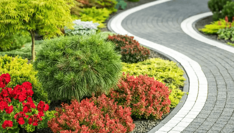 Seattle Landscaping: How to Transform Your Outdoor Space into a Beautiful, Functional Retreat