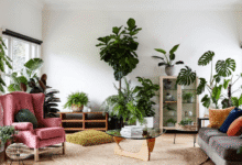 Decorating with Plants: Easy Greenery for Every Room