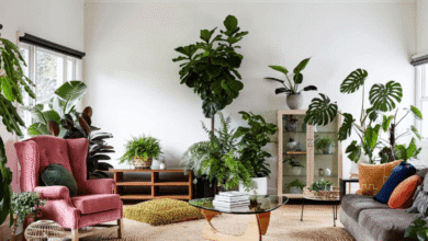 Decorating with Plants: Easy Greenery for Every Room