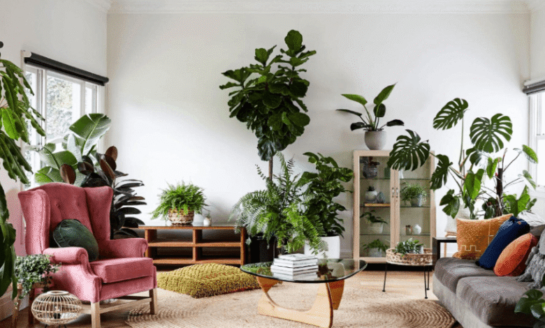 Decorating with Plants: Easy Greenery for Every Room