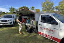 Pest Control Brisbane: Practical Protection Against Termites and Pest Birds